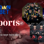 VIVA88: Cá Cược Thể Thao Trả Sau E-sport