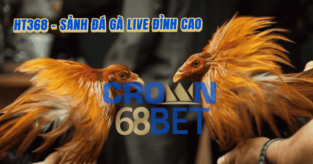 lấy trang gà HT368