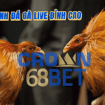 lấy trang gà HT368