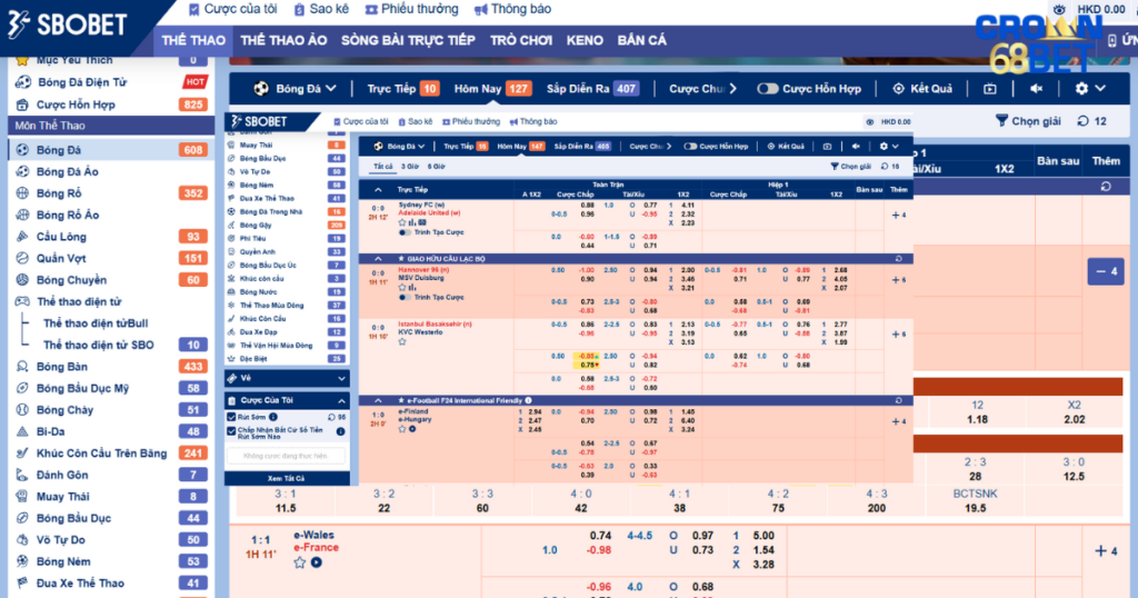 cá cược thể thao