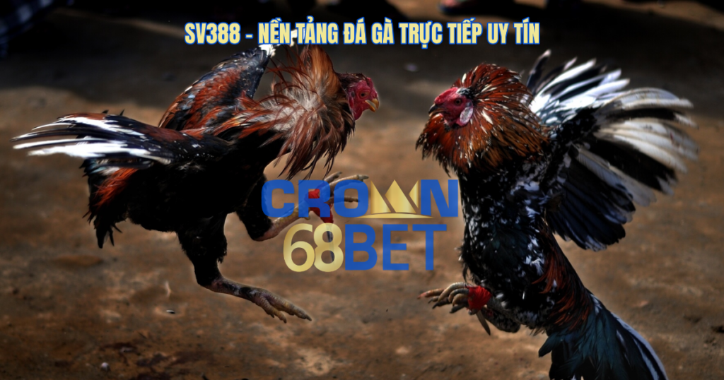 đá gà trực tiếp