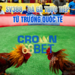 đá gà trực tiếp