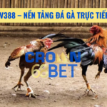 đá gà trực tiếp