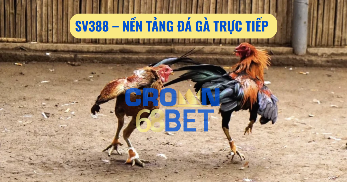 đá gà trực tiếp